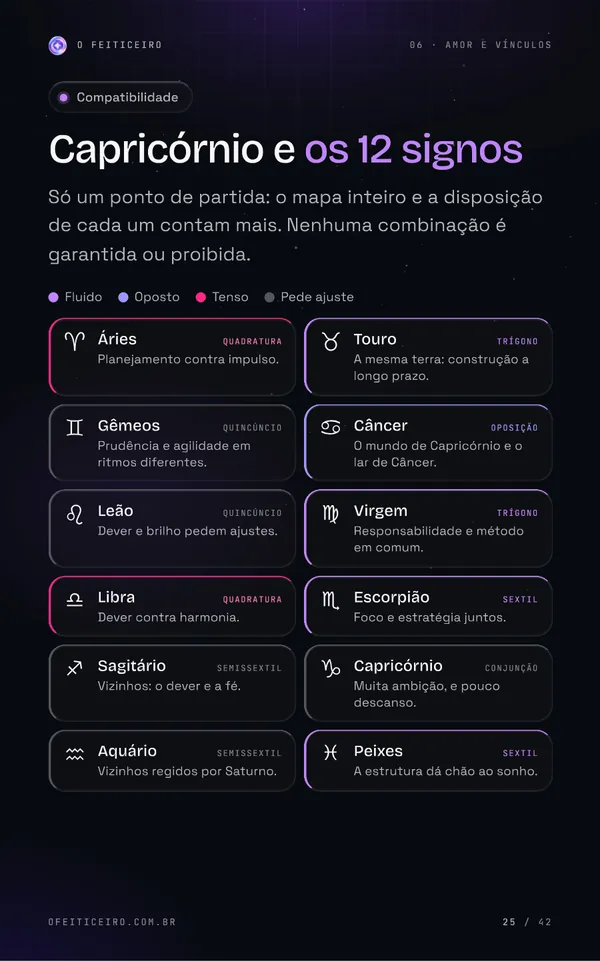 Página 25 do e-book: Capricórnio e os 12 signos