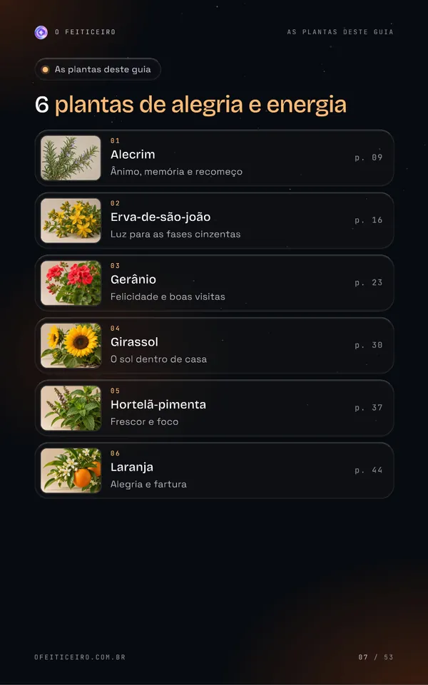 Página 7 do e-book: As plantas deste guia