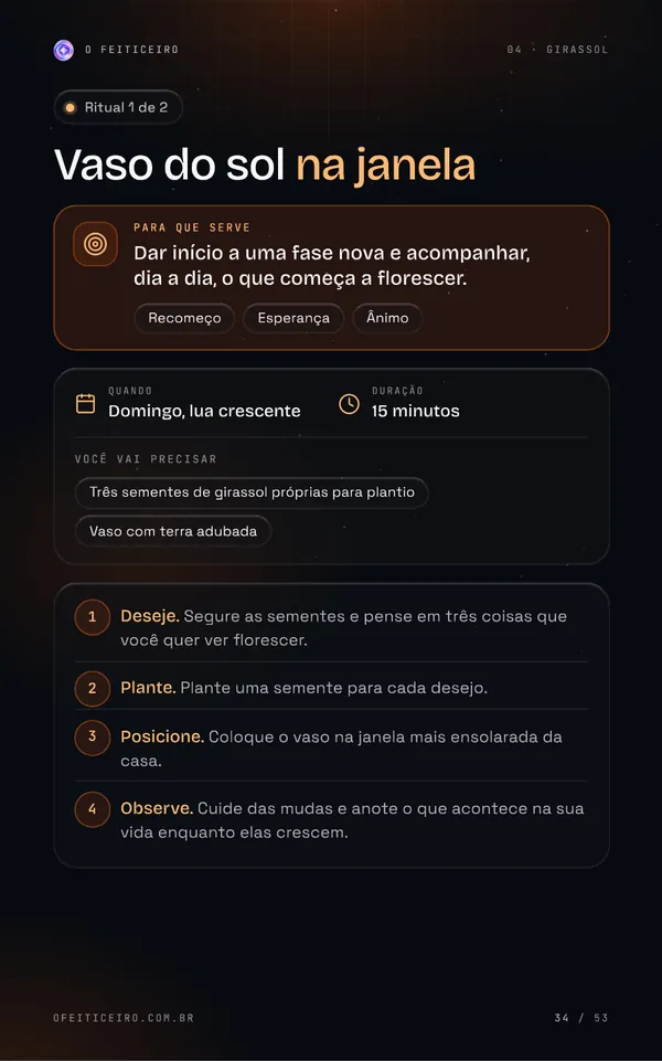 Página 34 do e-book: Girassol: Vaso do sol na janela