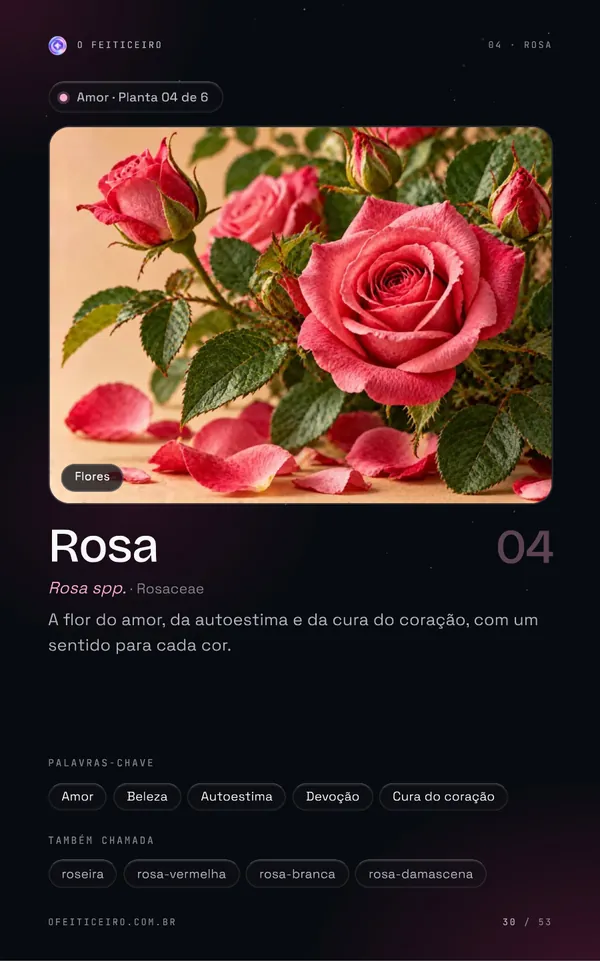 Página 30 do e-book: Rosa: abertura