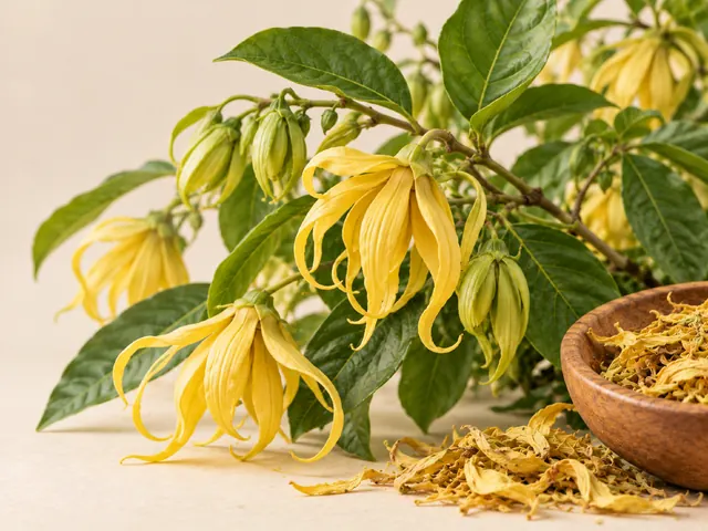 Imagem de Ylang-ylang