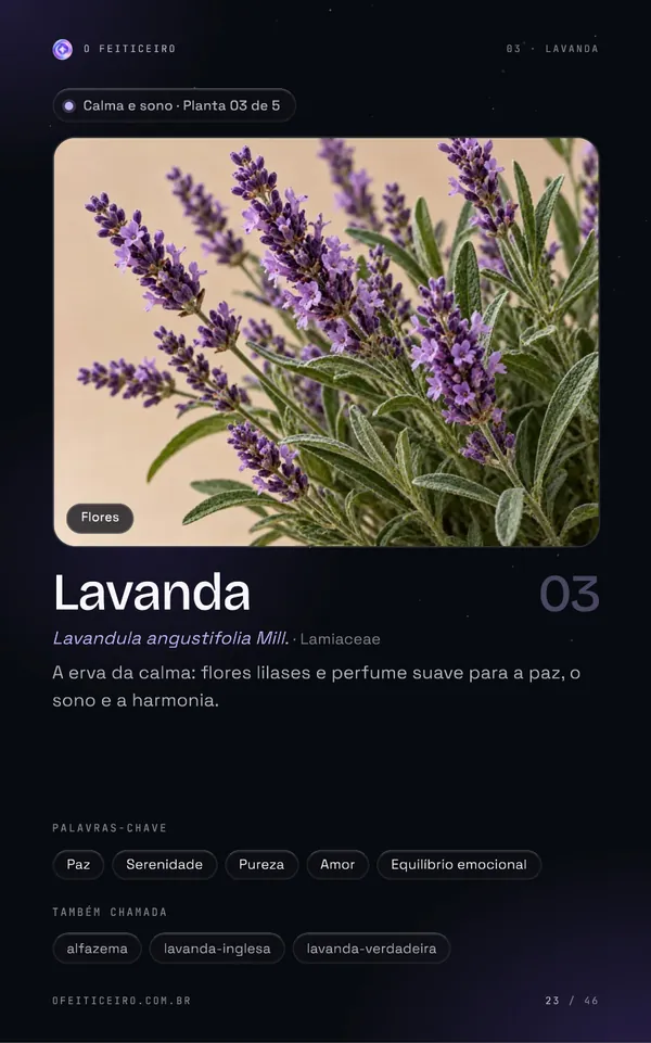 Página 23 do e-book: Lavanda: abertura