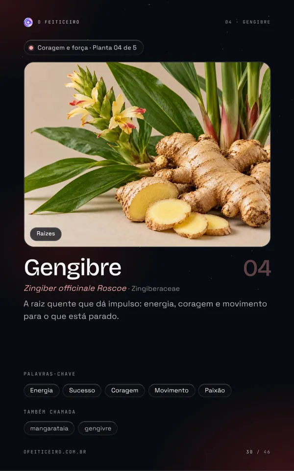 Página 30 do e-book: Gengibre: abertura
