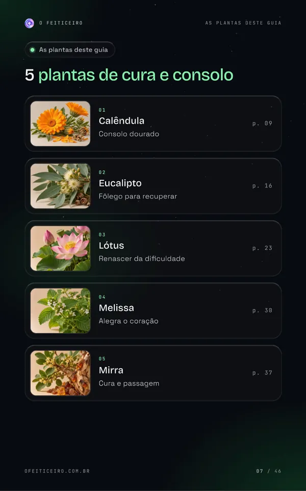 Página 7 do e-book: As plantas deste guia