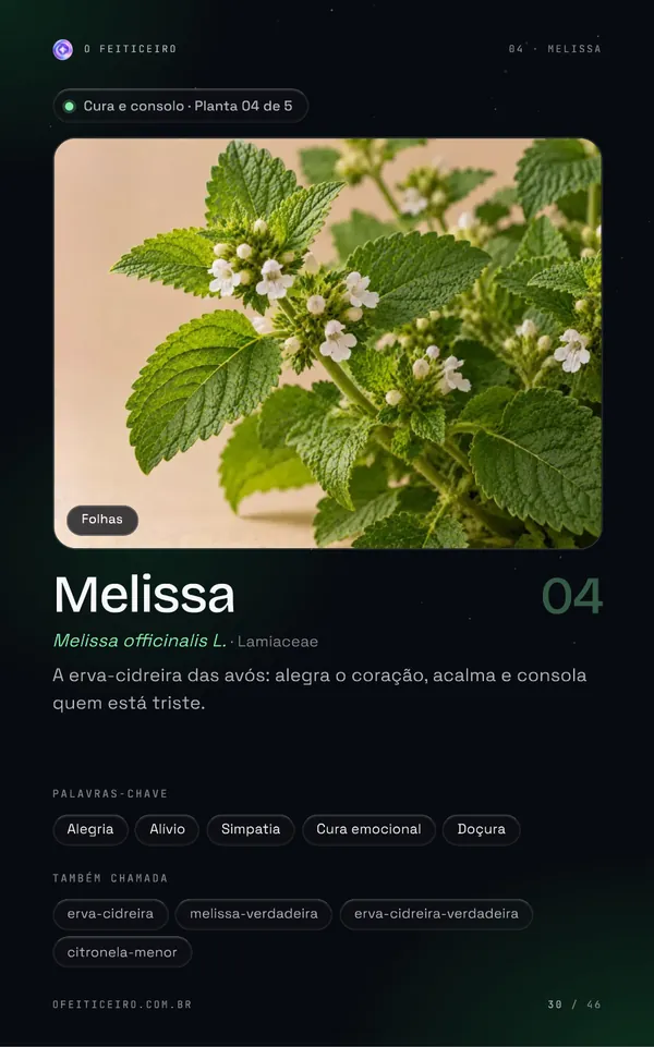 Página 30 do e-book: Melissa: abertura