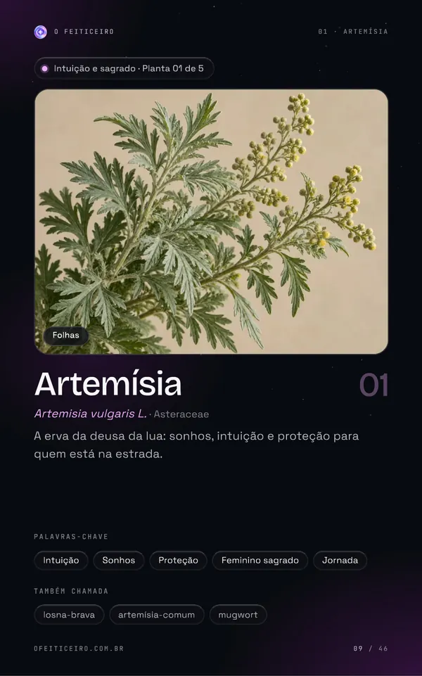 Página 9 do e-book: Artemísia: abertura