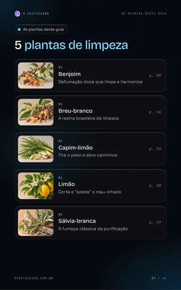 Página 7 do e-book: As plantas deste guia