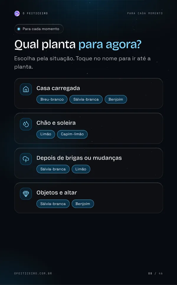 Página 8 do e-book: Para cada momento
