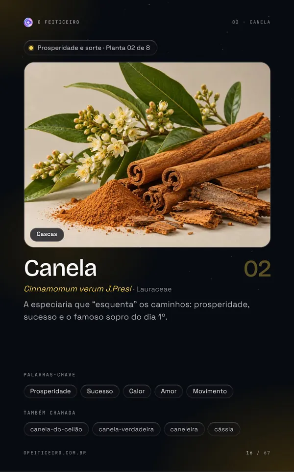 Página 16 do e-book: Canela: abertura