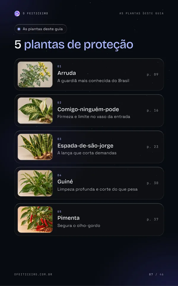 Página 7 do e-book: As plantas deste guia