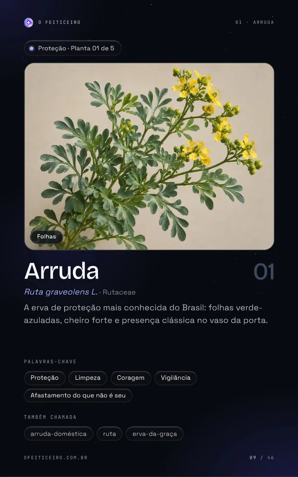 Página 9 do e-book: Arruda: abertura